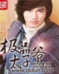 极品太子妃个人资料